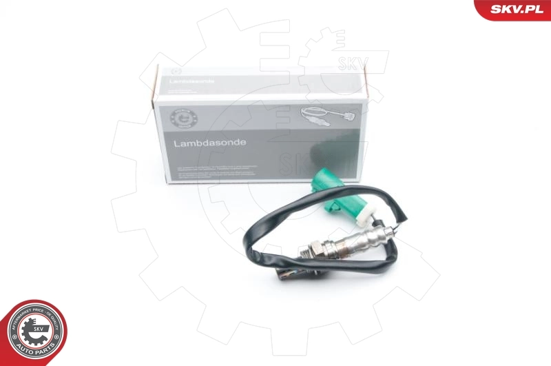 Oxygen Sensor